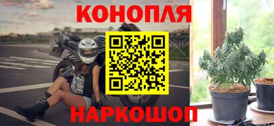 гашик Ипатово