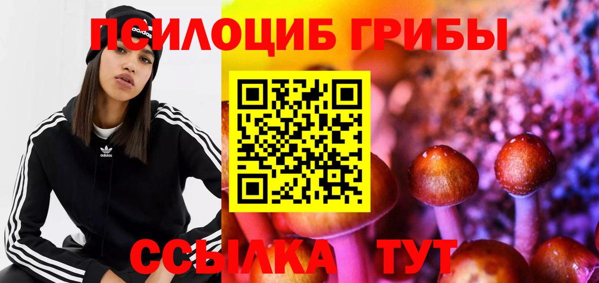 Галлюциногенные грибы прущие грибы  Псилоцибиновые грибы ЛСД  Великий Устюг  магазин продажи наркотиков  Вход с VPN 