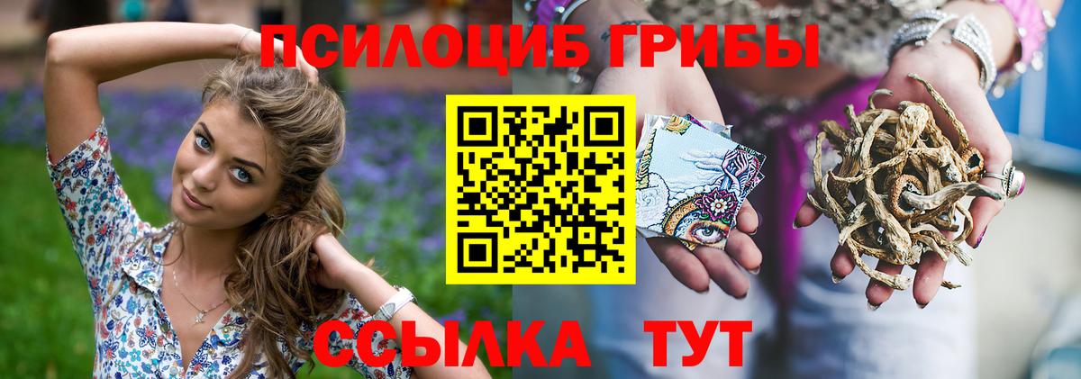 Галлюциногенные грибы MAGIC MUSHROOMS Великий Устюг
